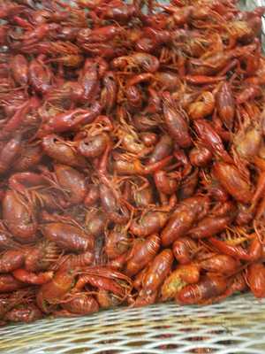 Hotheads Crawfish