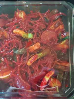 Xquinkles Snack Land