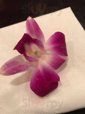 Hachi Japanese Restaurant