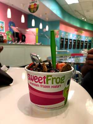 Sweet Frog Frozen Yogurt