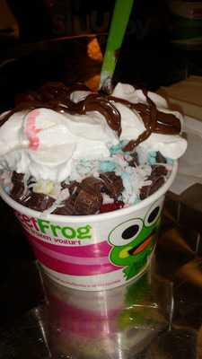 Sweet Frog Frozen Yogurt
