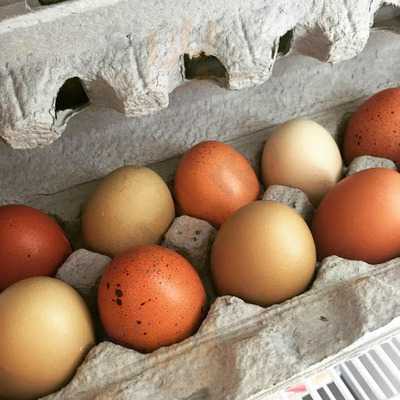 Flour Child Fine Foods