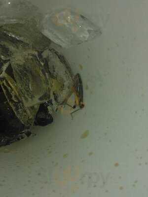 Foto 31750403