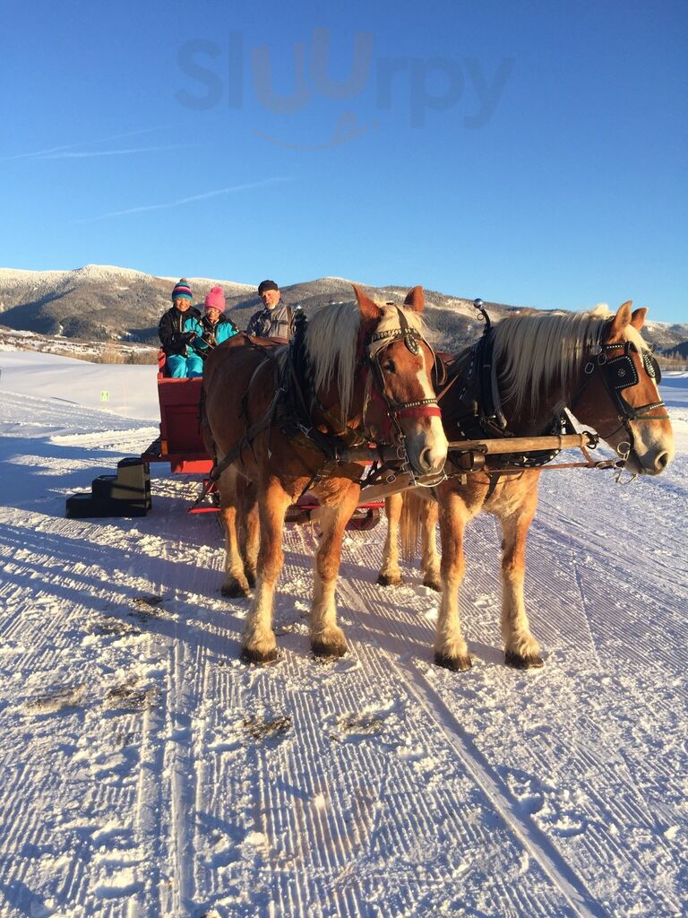 Dinner Sleigh Rides At Haymaker