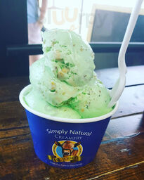 Sweet Southern Scoops