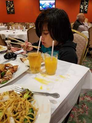 Foto 5191904