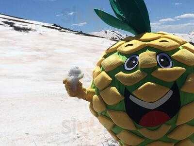 Snowy Pineapple