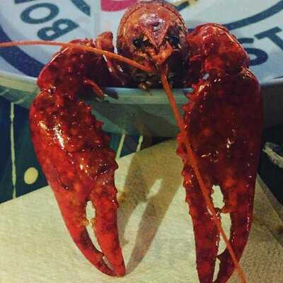 The Crawfish House & Grill