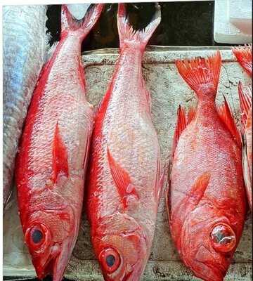 Lighthouse Seafood Market & Cafe