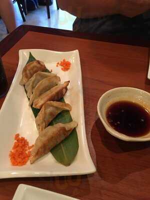 Wasabi Japanese Cuisine