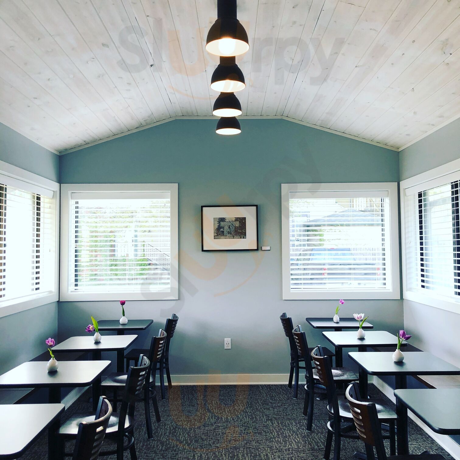 Jackrabbit Coffee