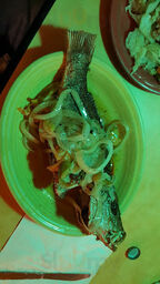 Island Cafe