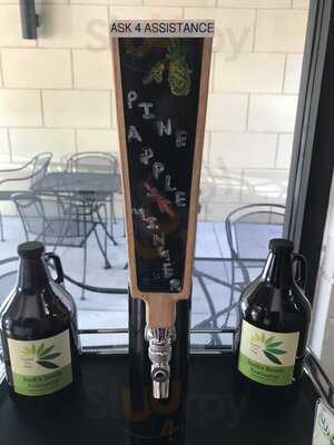 Root's Raw Juice Bar