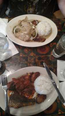 Under The Coconut Tree