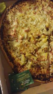 Papa Johns Pizza