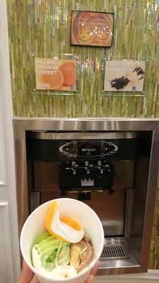 Yo Mama Frozen Yogurt And More