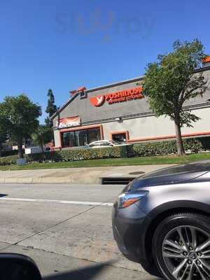 Yoshinoya Beef Bowl Restaurant