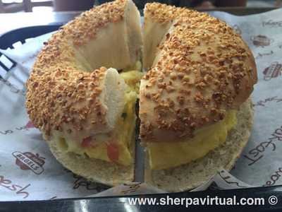 Big Apple Bagels