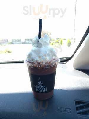 The Human Bean Albany