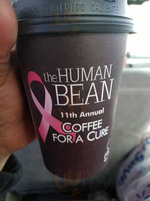 The Human Bean Albany