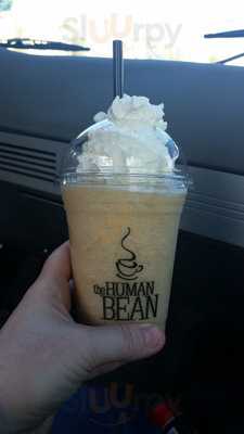 The Human Bean Albany