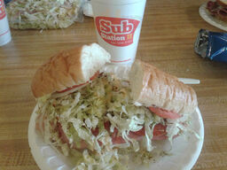 Sub Station Ii