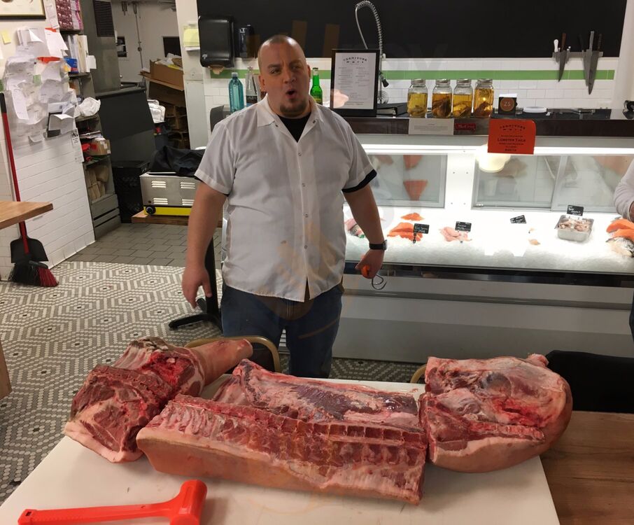 Carnivore