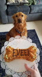 Three Dog Bakery