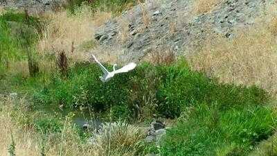 Scotties Shutters Brasserie