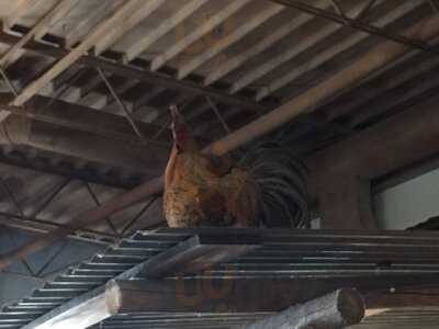 Java Ranch Espresso Bar & Cafe