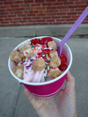 Lemonberry Frozen Yogurt