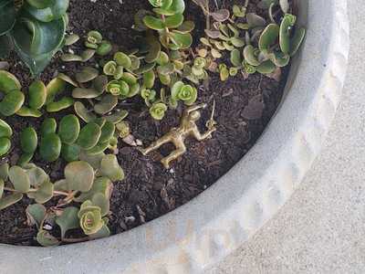 Foto 6295574