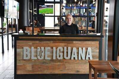Blue Iguana