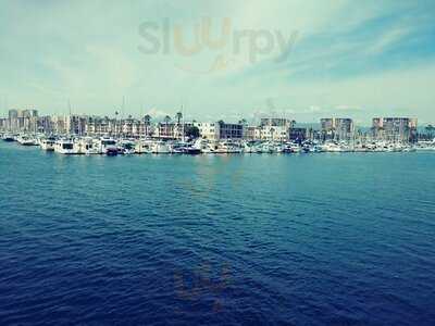 Hornblower Yacht Cruises