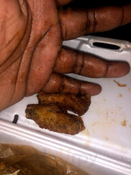Wing Boss