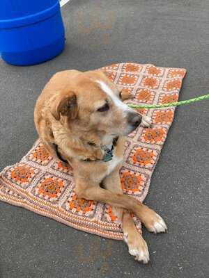 Gallaghers' Where-u-brew