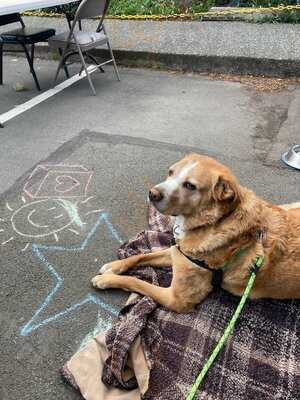 Gallaghers' Where-u-brew