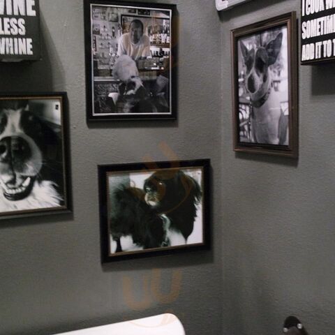 Nikko Mussolini Dog Boutique And Spirits