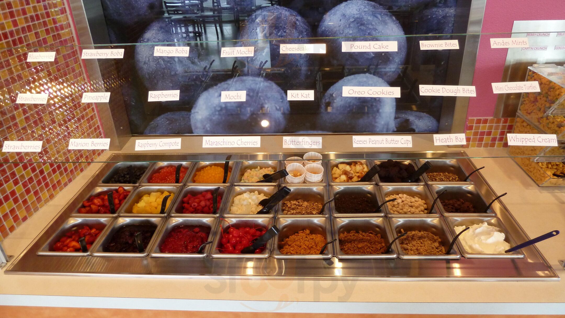 Blu Berry Frozen Yogurt