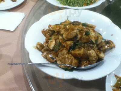 Lunar Feast Veggie Cuisine