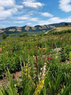 Gorge White House Cafe