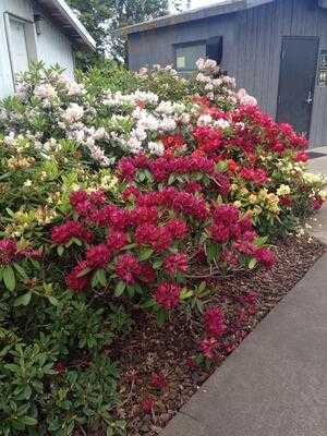 Gorge White House Cafe