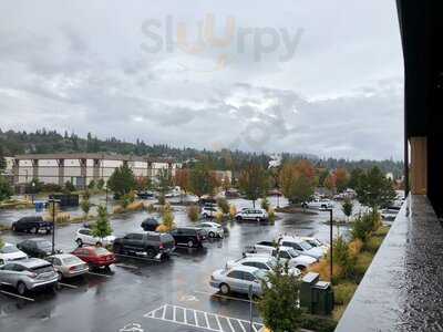 Ferment Brewing Company