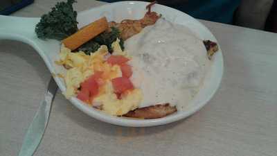 Jeb's Blueberry Hill