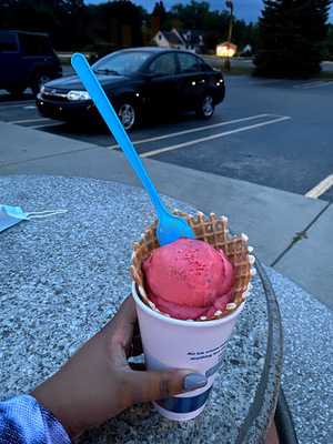 Ritter's Frozen Custard
