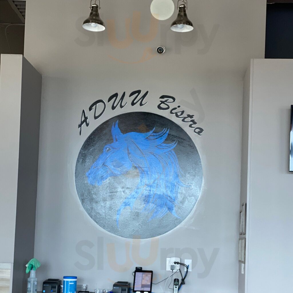 Aduu Bistro Pho & Sushi