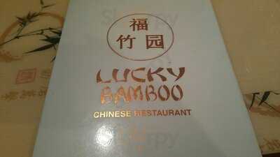 Lucky Bamboo