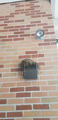 Tree City Coffee & Pastry