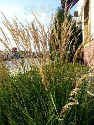 On The Border Mexican Grill & Cantina