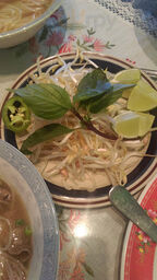 Pho Lily